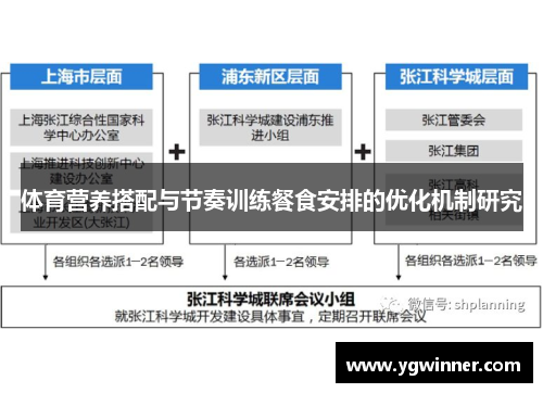 体育营养搭配与节奏训练餐食安排的优化机制研究